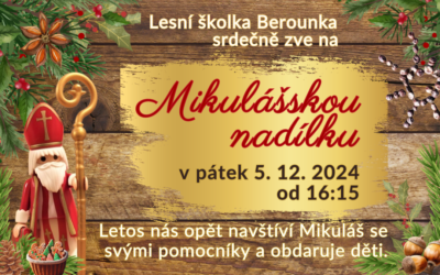 Mikulášská nadílka